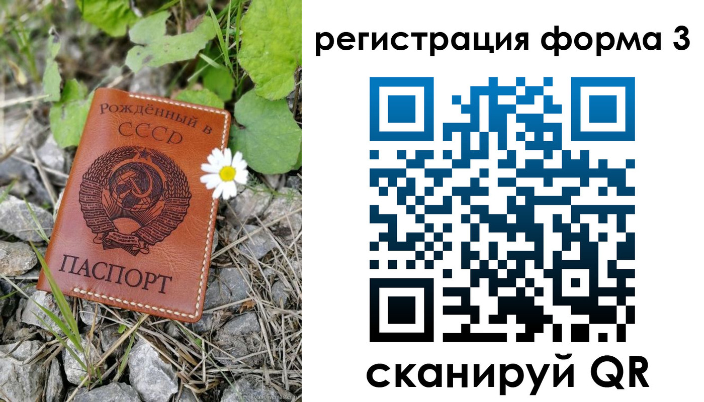 форма 3 в Светлом
